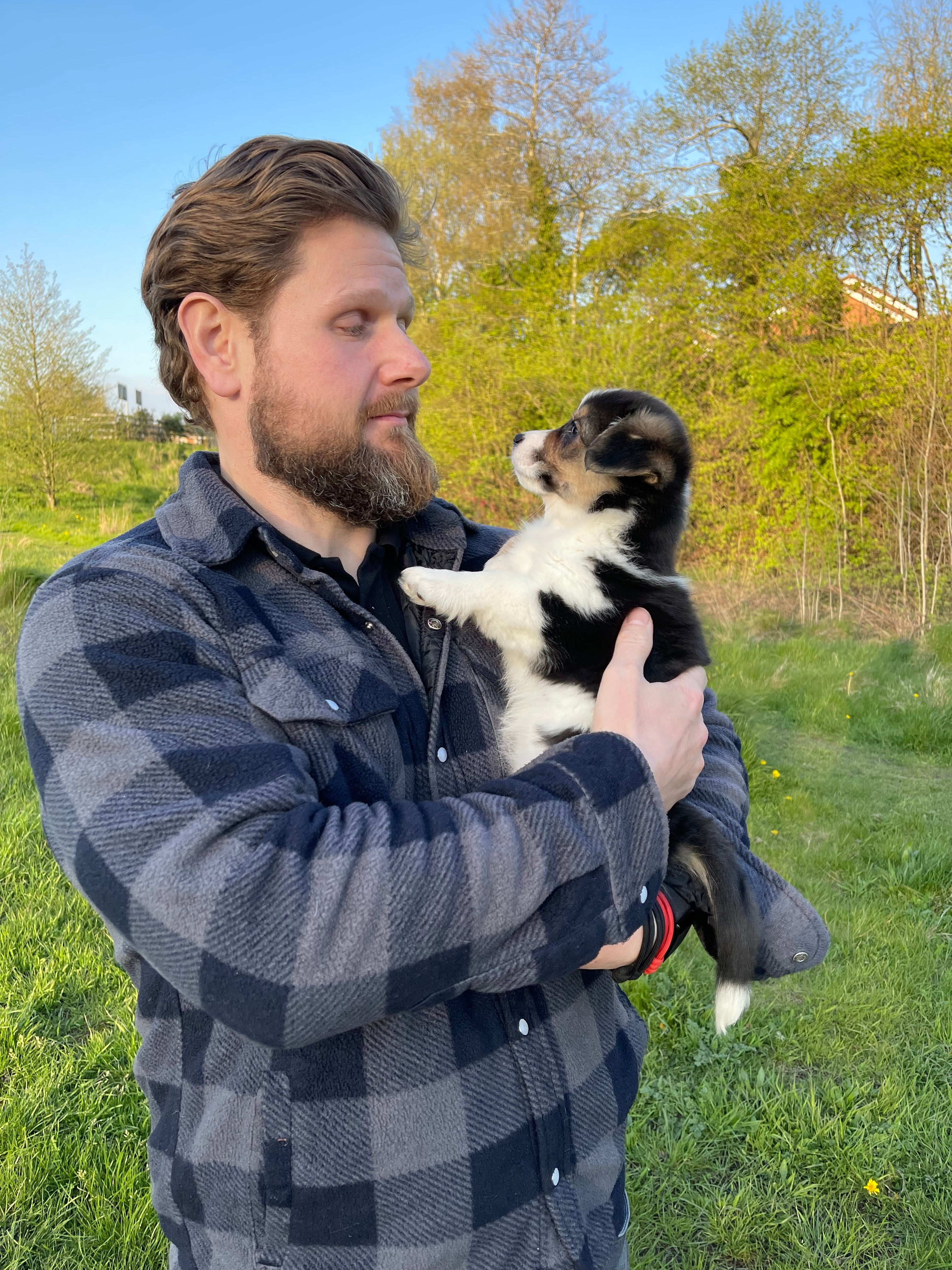 meet-bebe-akk9-dog-training